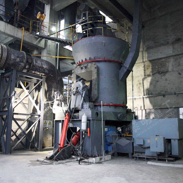 Roller mill for coal grinding technology